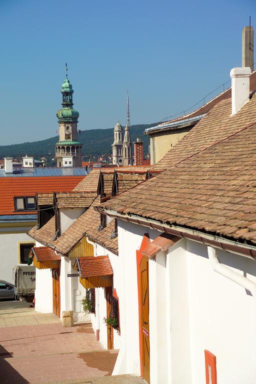 Vinosseum Bor- Es Apartmanhaz Sopron Exterior foto